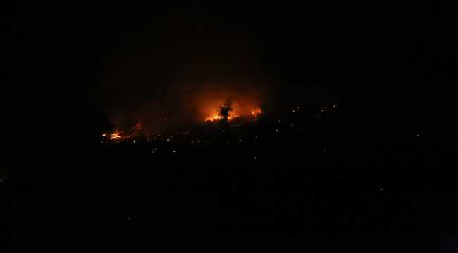 Adana'daki orman yangınına müdahale sürüyor