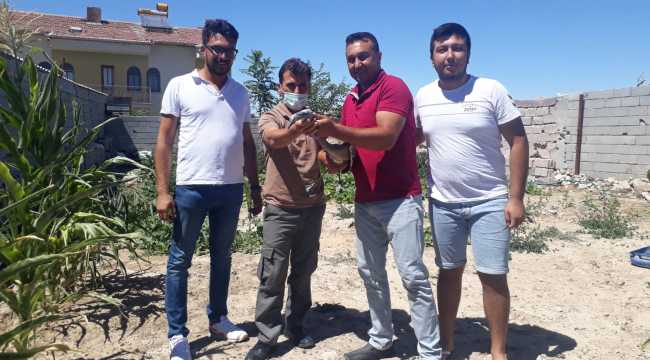 Aksaray'da yaralı flamingolar tedaviye alındı