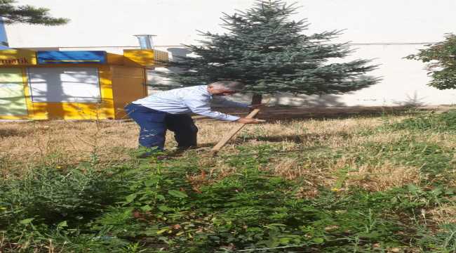 Başkanı İlbey, tırpanla ot biçerek çalışanlara destek oldu