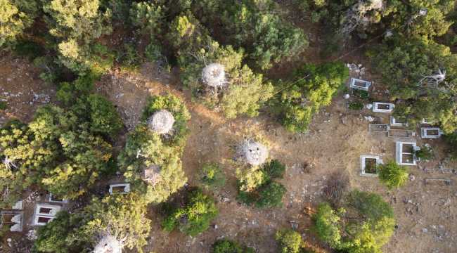 Beyşehir'de leylek mekanları sessizliğe büründü