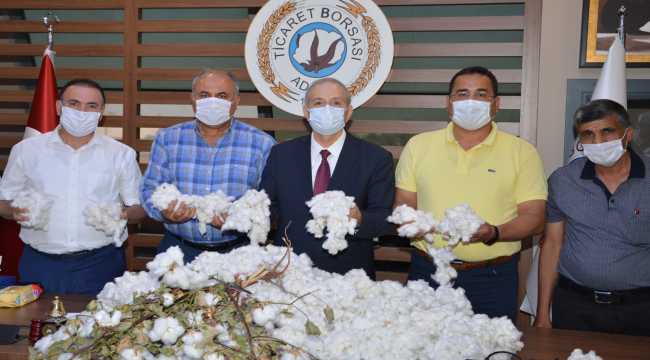 Çukurova'da sezonun ilk pamuğuna 55 liralık sembolik fiyat