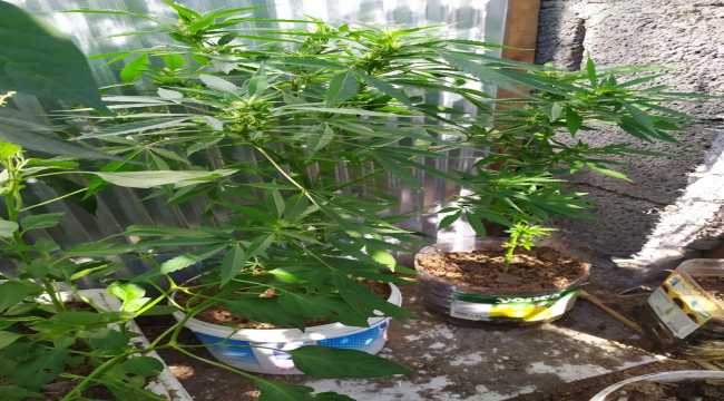 Dörtyol'da uyuşturucu operasyonu 