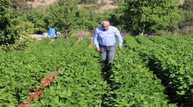 Erdemli Belediyesi üretici ve esnaflara ücretsiz e-ticaret eğitimi verecek
