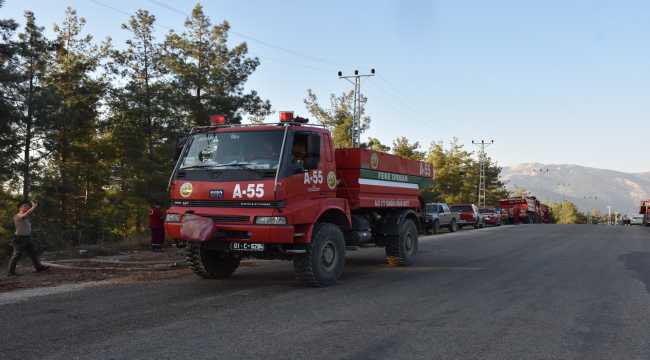 Adana'da çıkan orman yangını kontrol altında