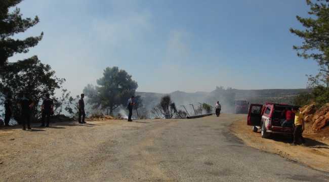 GÜNCELLEME - Mersin'de çıkan orman yangını kontrol altına alındı