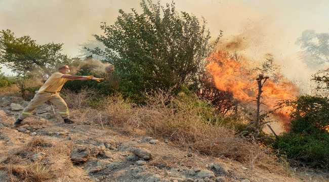 Osmaniye'deki orman yangını kontrol altına alındı