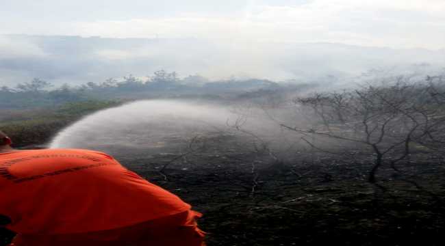 Hatay'da çıkan orman yangını kontrol altına alındı
