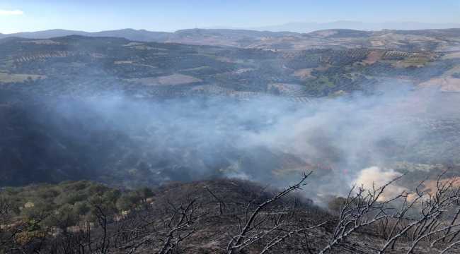 Hatay'da çıkan orman yangını kontrol altına alındı