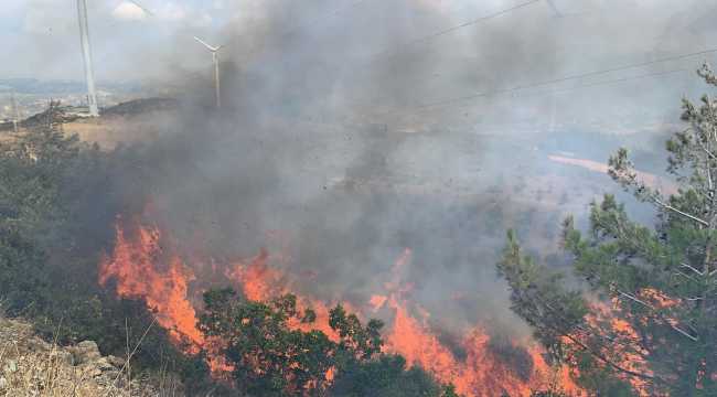 Hatay'da çıkan orman yangınında 2 dekar alan zarar gördü