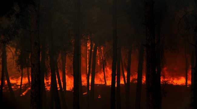 Hatay'da çıkan orman yangınında 5 hektar alan zarar gördü