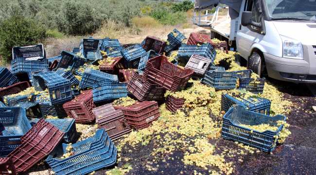 Hatay'da devrilen üzüm yüklü kamyonet ulaşımı aksattı