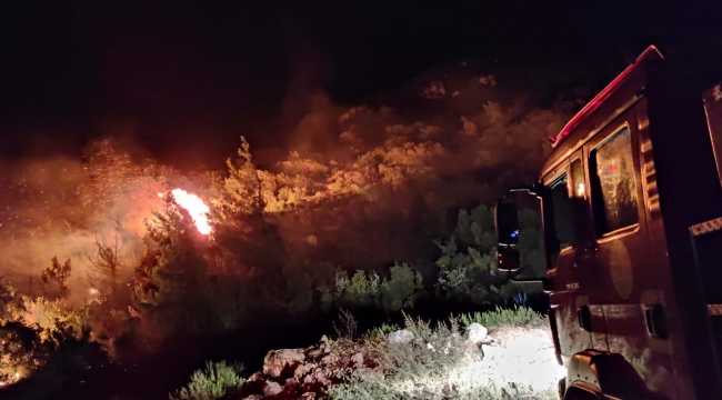 Hatay'da makilik alanda çıkan yangın kontrol altına alındı
