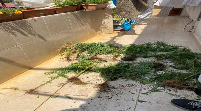 Hatay'da uyuşturucu operasyonu: 1 gözaltı