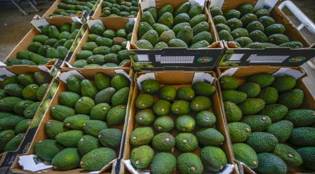 İhracatçılar ve üreticiler egzotik meyvelere yöneliyor