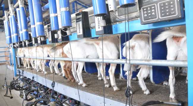 Kahramanmaraş'a 220 milyon liralık yatırım başvurusu yapıldı