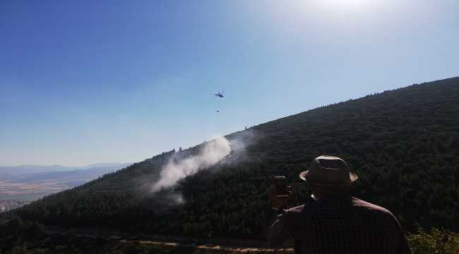 Kahramanmaraş'ta 2 hektar ormanlık alan yandı