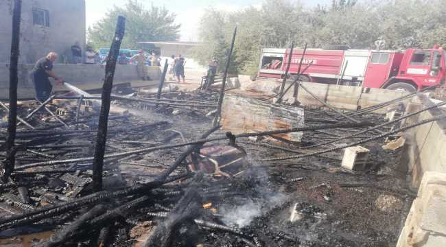 Kahramanmaraş'ta çıkan yangında 5 küçükbaş hayvan telef oldu