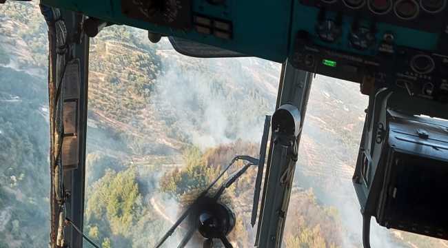 Kahramanmaraş'ta örtü yangını 
