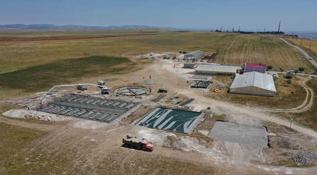 Kangalların genetik yapısı çipli takiple korunacak