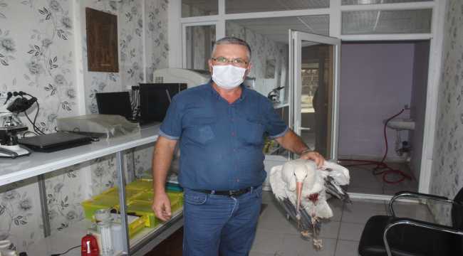Karapınar'da yaralı leylek tedavi altına alındı