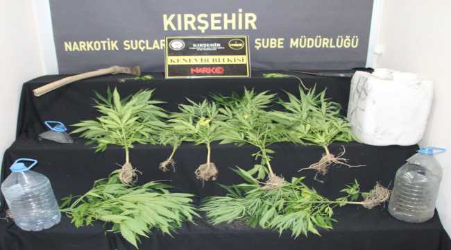 Kırşehir'de uyuşturucu operasyonunda 8 şüpheli yakalandı