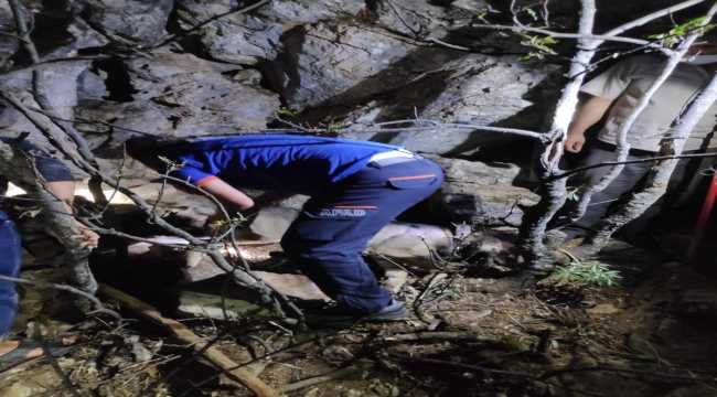 Konya'da kayalıklarda sıkışan çoban köpeğini AFAD ekipleri kurtardı