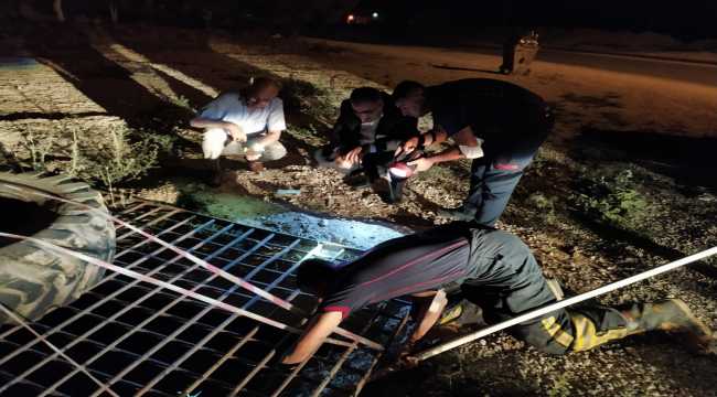 Konya'da sulama kanalına düşen köpeği itfaiye kurtardı