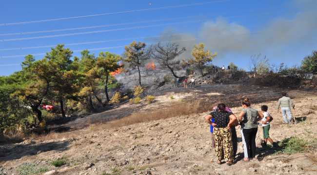 Manavgat'ta orman yangını çıktı