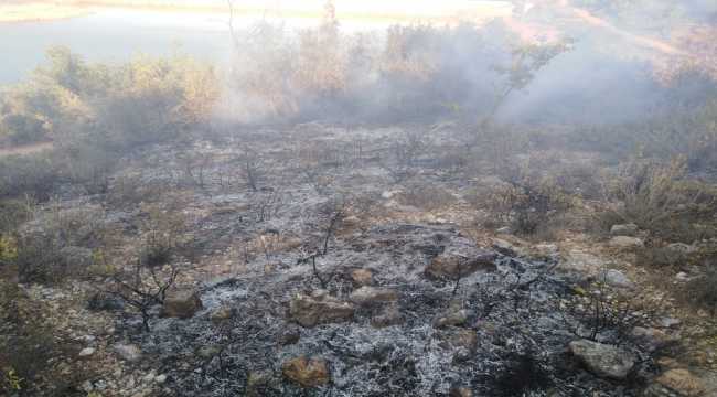 Mersin'de 2 dönüm makilik alan yandı
