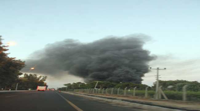 Mersin'de araştırma enstitüsünde yangın çıktı 