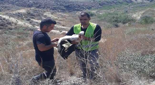 Mersin'de bulunan yaralı leylek tedaviye alındı