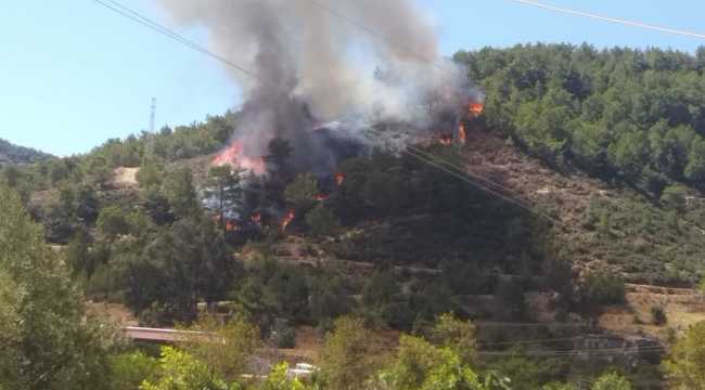 Mersin'de çıkan orman yangını söndürüldü