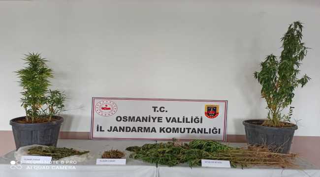 Osmaniye'de uyuşturucu imal ettikleri ileri sürülen 2 şüpheli yakalandı