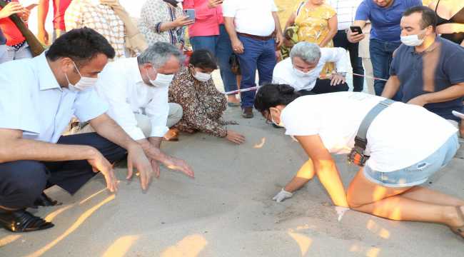 Patara'da caretta caretta yavruları denizle buluştu