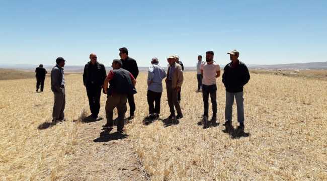 Sivas'ta etkili olan dolu 10 bin dekar tarım arazisine zarar verdi
