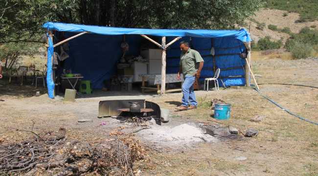 Terk edilen yaylada tek başına yaşıyor