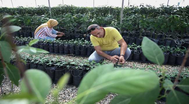 TİGEM'den çiftçiye 