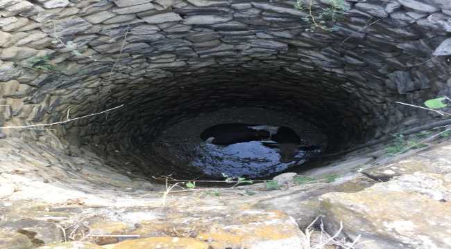 Adana'da su kuyusuna düşen inek itfaiye ekiplerince kurtarıldı