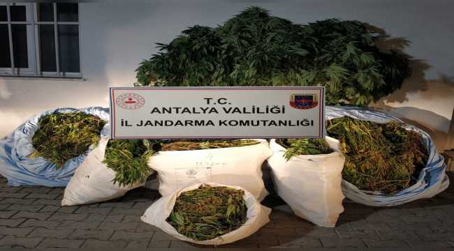 Antalya'da 161 kilogram esrar ele geçirildi
