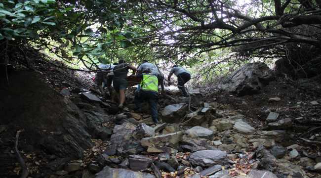 Antalya'da panelvan devrildi: 6 yaralı