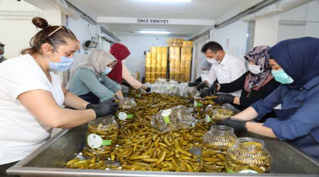 Çubuk'tan 81 ilde 81 okulla 