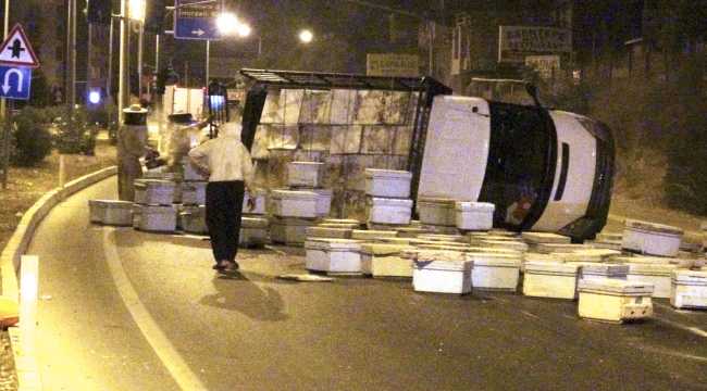 Mersin'de arı kovanı taşıyan kamyon kaza yapınca arılar etrafa saçıldı
