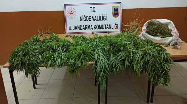 Niğde'de 1 kilo 700 gram esrar ele geçirildi