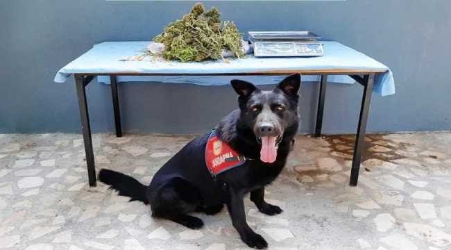 Adana'da uyuşturucu operasyonunda 1 kilo 200 gram esrar ele geçirildi 