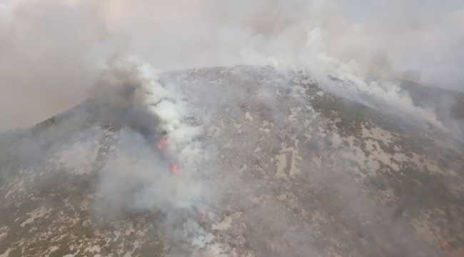 Antalya'da çıkan orman yangını söndürüldü