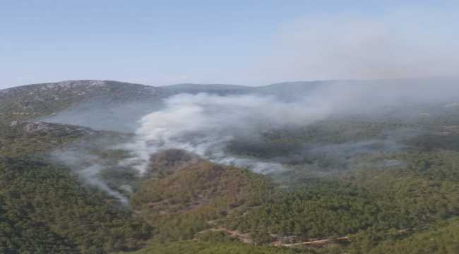 Antalya'da çıkan orman yangınına havadan ve karadan müdahale ediliyor