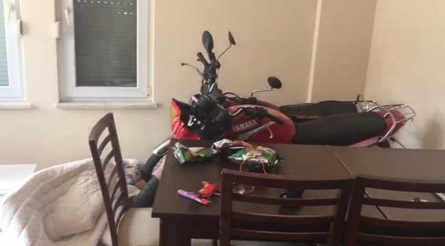 Antalya'da hırsızlık iddiasıyla Norveçli 4 şüpheli yakalandı