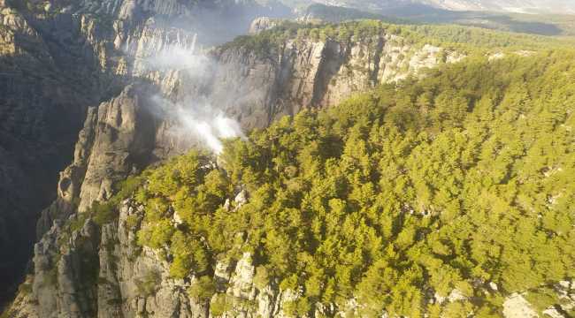 Antalya'da ormanlık alanda çıkan yangın kontrol altına alındı
