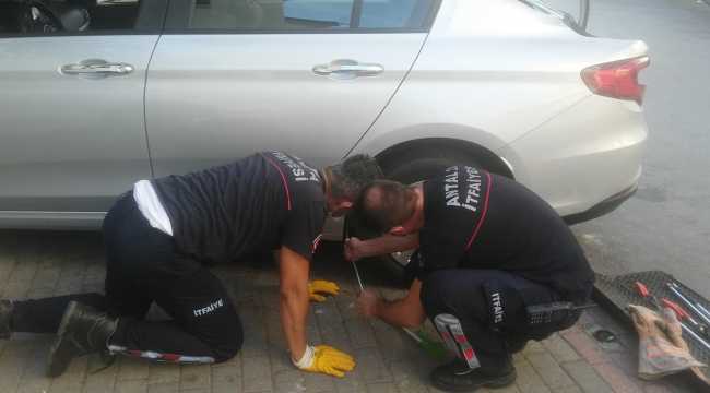 Antalya'da otomobilin çamurluk kısmına sıkışan kedi kurtarıldı