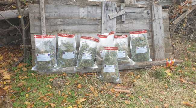 Çankırı'da uyuşturucu operasyonunda yakalanan 7 zanlıdan 1'i tutuklandı